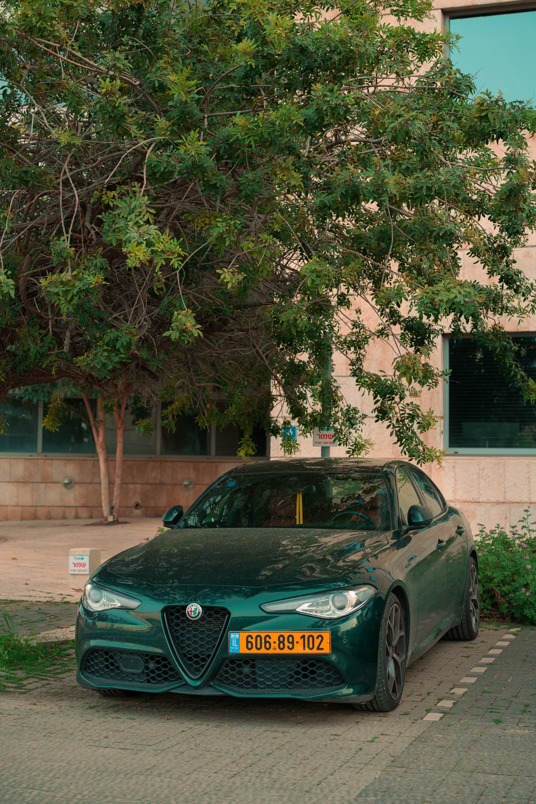 צילום רכב 1